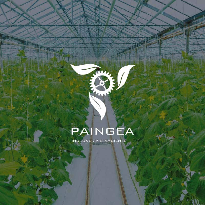 08-ilgruppo_paingea 08-ilgruppo_paingea